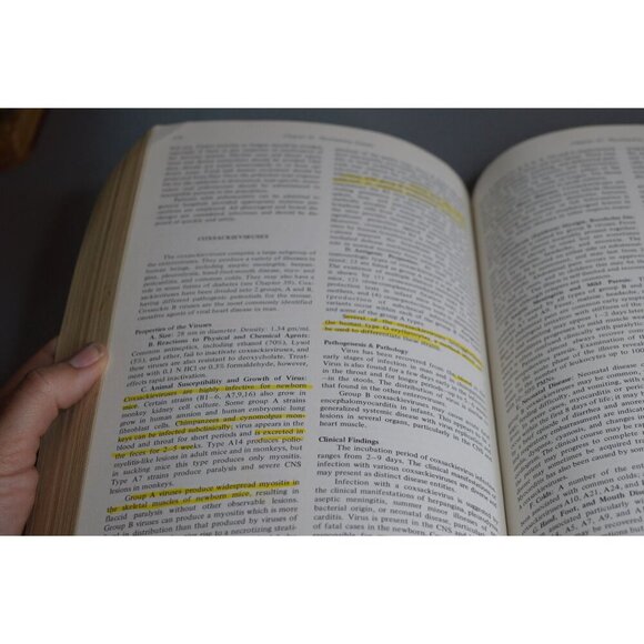 1974 Review Of Medical Microbiology 12th Edition By Jawetz Melnick & Adelberg La - Picture 8 of 11